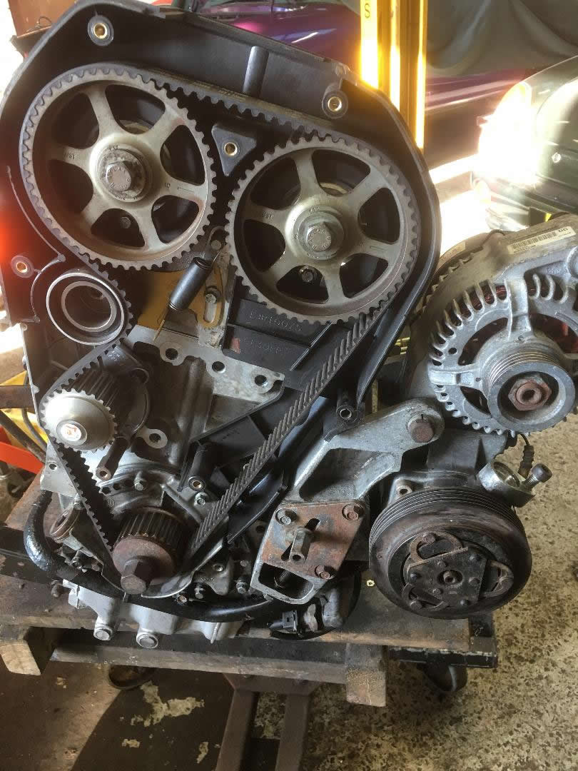 MGF Timing belt